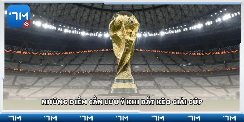 Các điểm cần lưu ý khi bắt kèo giải Cúp