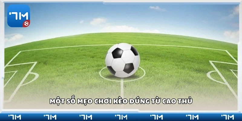 Chia sẻ các mẹo chơi kèo đúng từ cao thủ