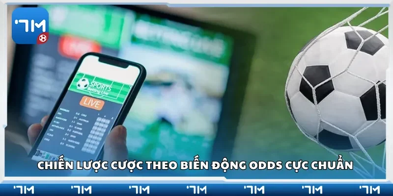 Chiến lược cược theo biến động odds cực chuẩn 