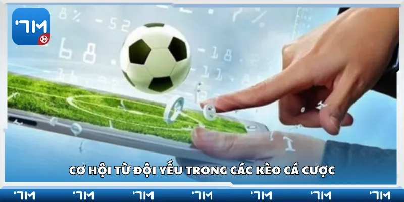 Cơ hội từ đội yếu trong các kèo cá cược