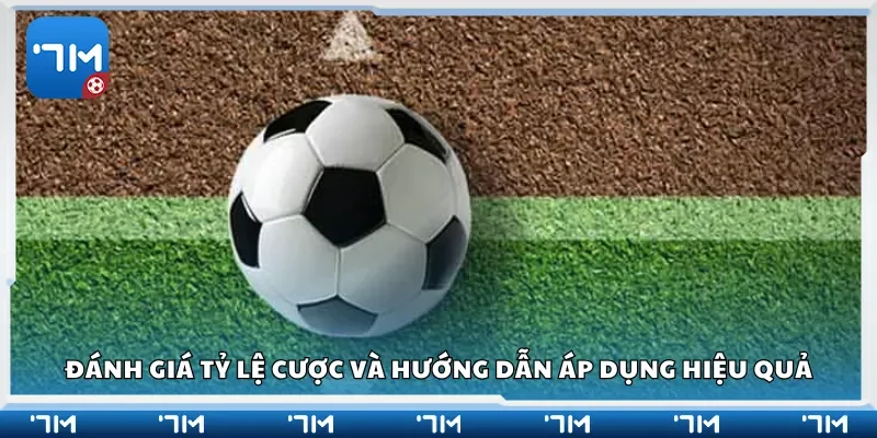 Đánh giá tỷ lệ cược và hướng dẫn áp dụng hiệu quả