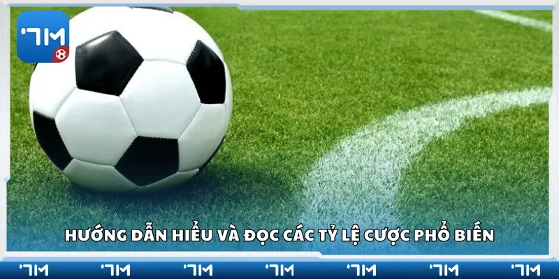 Hướng dẫn hiểu và đọc các tỷ lệ cược phổ biến