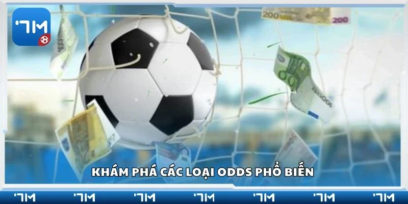 Khám phá các loại odds phổ biến