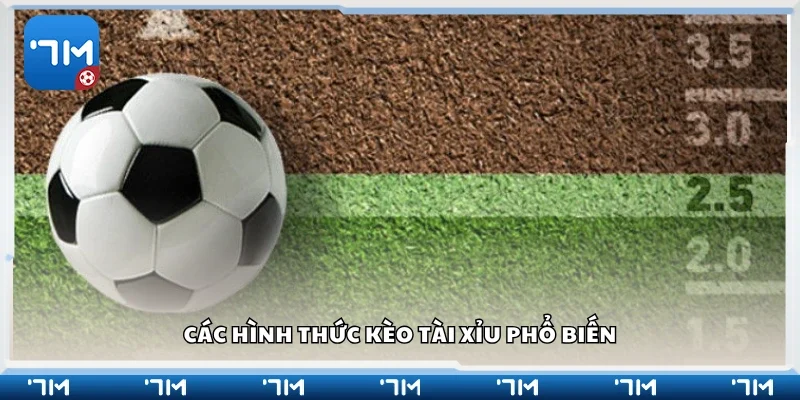 Một số hình thức kèo tài xỉu phổ biến
