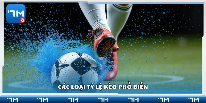 Một số loại tỷ lệ kèo phổ biến