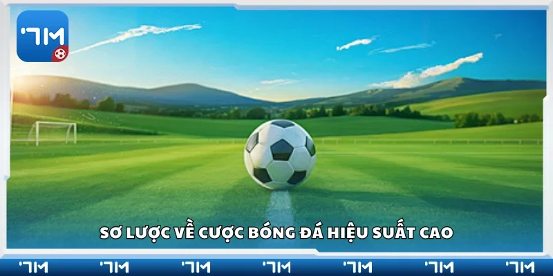 Sơ lược về cược bóng đá hiệu suất cao