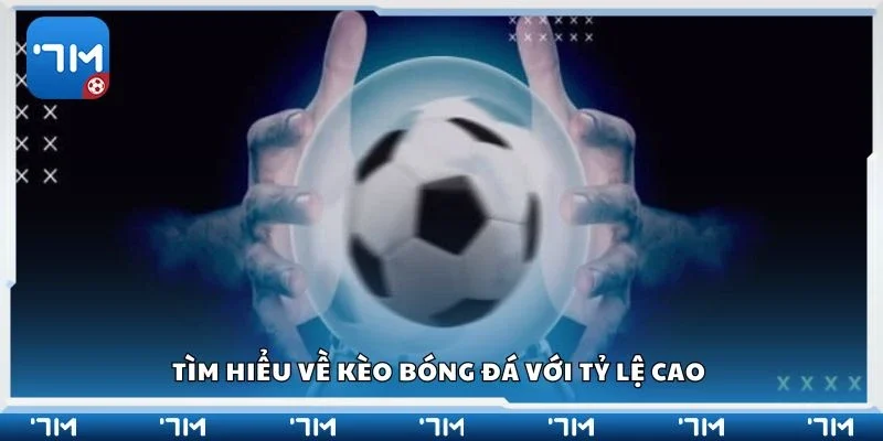 Tìm hiểu về kèo bóng đá với tỷ lệ cao