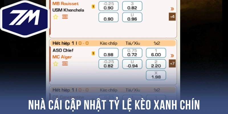 Nhà cái cập nhật tỷ lệ kèo xanh chín