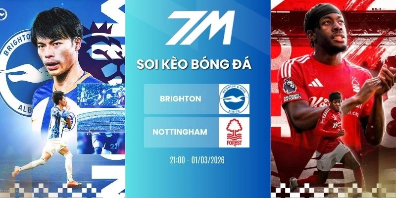 Kèo Bóng Đá Brighton Vs Nottingham Hôm Nay Ngày 01/03/2026 – NHA
